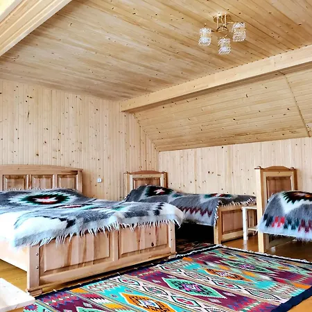 кичера Petrashi