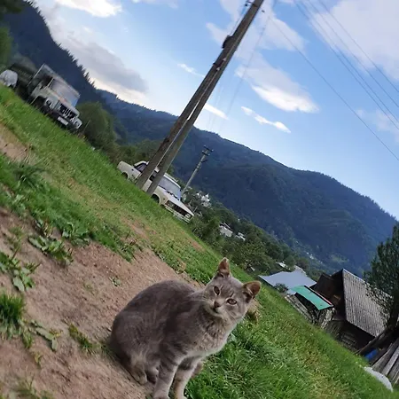 кичера Holiday home