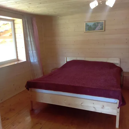 Holiday home кичера Petrashi