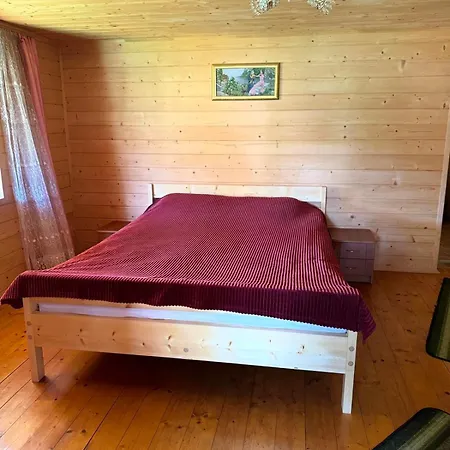 Hébergement de vacances кичера Petrashi