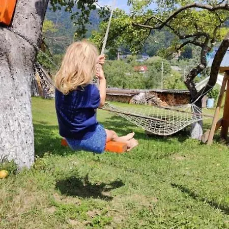 кичера * Petrashi