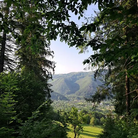 кичера Petrashi