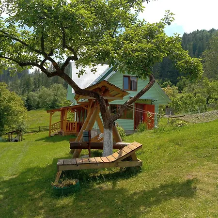 Holiday home кичера Petrashi