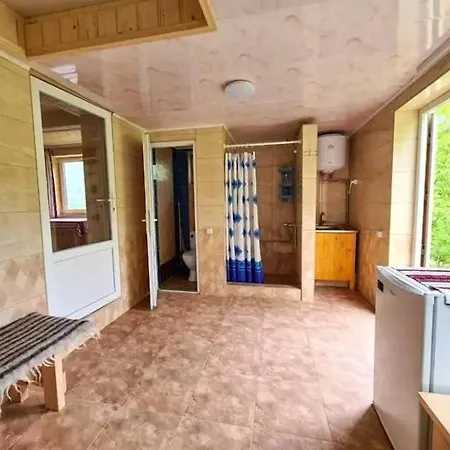 кичера Hébergement de vacances Petrashi