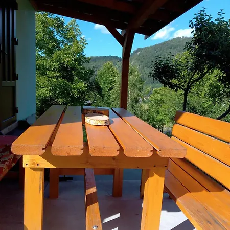 кичера * Petrashi