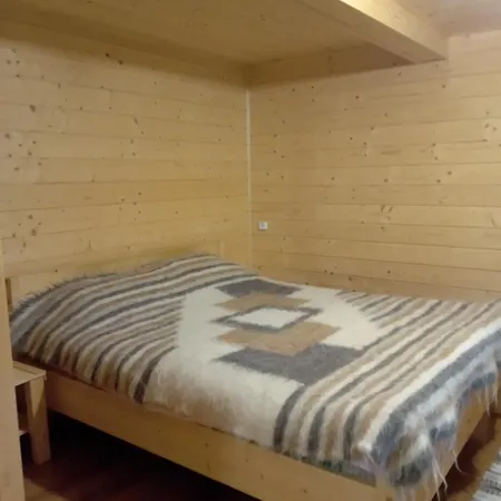 Holiday home кичера Petrashi