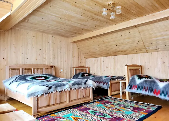 кичера Petrashi