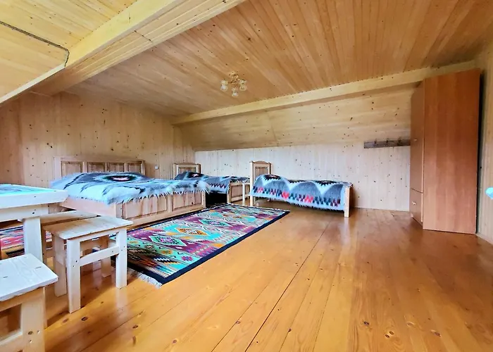 Holiday home кичера Petrashi