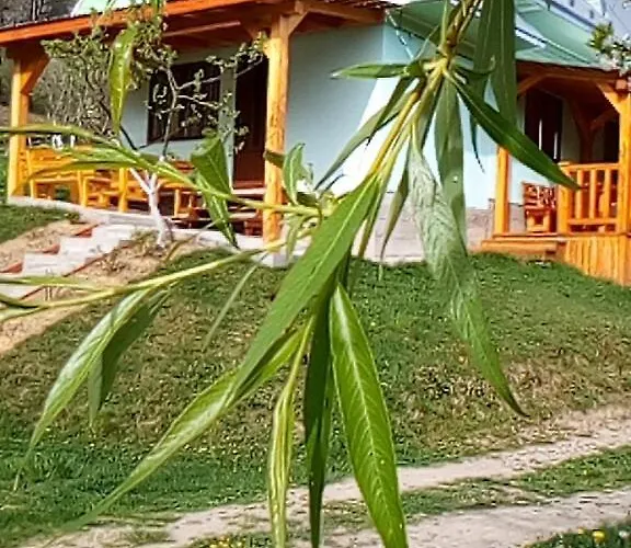 кичера Holiday home