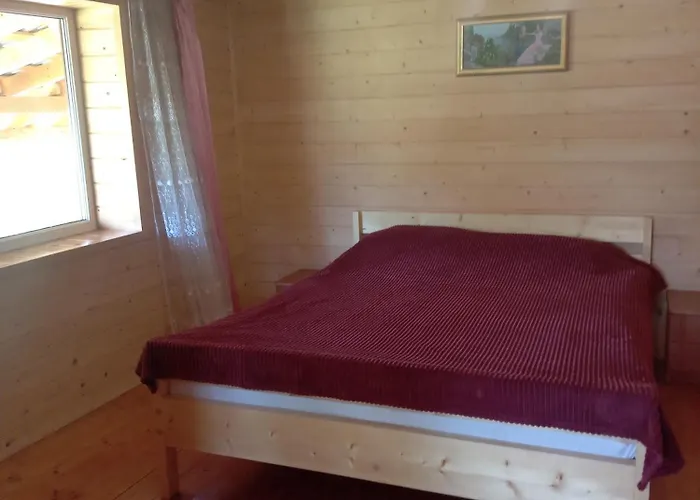 Holiday home кичера Petrashi