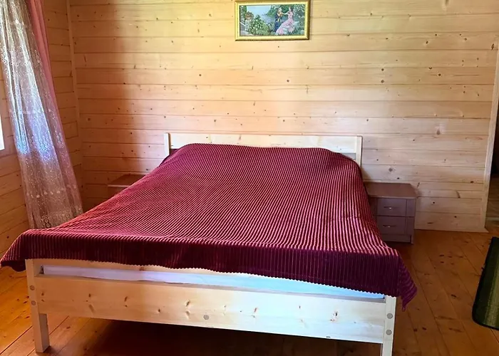 Holiday home кичера Petrashi