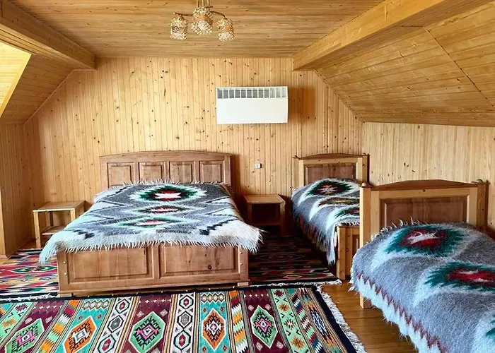 кичера Petrashi