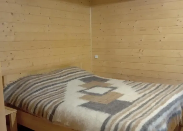 Holiday home кичера Petrashi