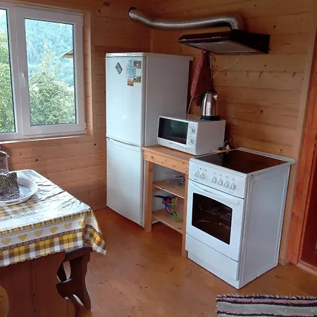 кичера * Petrashi