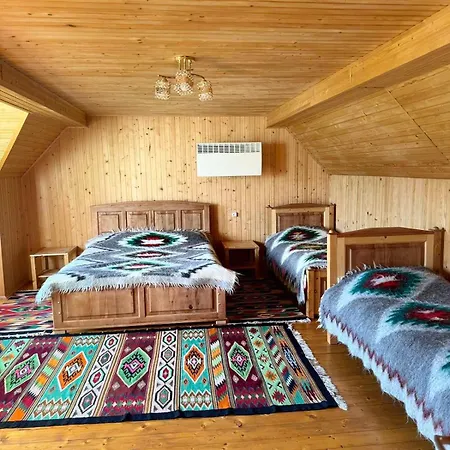 кичера Petrashi