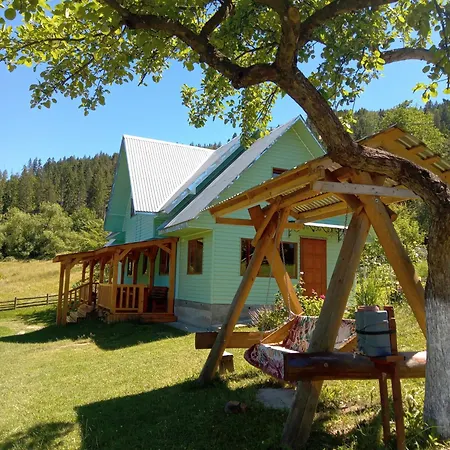 кичера * Petrashi